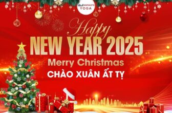 [🆕🇻🇳] ULA Namaste YOGA -Thanh Hóa 🧘 Top1Yoga 🤸🏻‍♀️  Chào Tháng 12 với chuỗi sự kiện đỏ xinh, rực rỡ và nhiều chương trình ưu đãi cho các Khóa Đào Tạo của Hệ Thống ULAKhóa Đào Tạo HLV Yoga 200H Quốc Tế
, shares-0✔️ , likes-0❤️️ , date-2024-12-01 19:37:01🇻🇳🇻🇳🇻🇳📰🆕