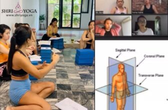 [🆕🇻🇳] Shriyoga – SATCHITANANDA – THỰC TẠI – Ý THỨC – PHÚC LẠC 🧘 Top1Yoga 🧘 Tầm quan trọng của việc ứng dụng các chủ đề lý thuyết vào thực hành yoga. Giải phẫu học, triết lý yoga, các hệ trong cơ thể, thở – thiền … rất nhiều các ch , shares-0✔️ , likes-19❤️️ , date-2024-12-04 02:19:01🇻🇳🇻🇳🇻🇳📰🆕