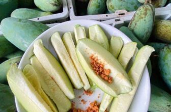 [🆕🇻🇳] THUỶ THUỶ FOOD – Trái Cây Sạch / Đặc Sản Đà Lạt 🍔 Top1Food  🍜   𝗫𝗢𝗔̀𝗜 𝗧𝗛𝗔́𝗜 Đ𝗘𝗡 𝗛𝗔̣𝗧 𝗟𝗘́𝗣 – 𝗡𝘂̛̃ 𝗵𝗼𝗮̀𝗻𝗴 𝘅𝗼𝗮̀𝗶 𝗮̆𝗻 𝘀𝗼̂́𝗻𝗴. Hàng đầu mùa có ít. Khách chốt nhanh nha. Hàng già đanh. Quả rám siêu chất lượng
#259k/3kg – L , shares-0✔️ , likes-1❤️️ , date-2024-12-02 02:46:15🇻🇳🇻🇳🇻🇳📰🆕