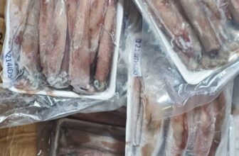 [🆕🇻🇳] Ngọc Điểm Food-chuyên cung cấp các loại thực phẩm: thịt heo, thịt bò, thịt gà, cá, tôm 🍔 Top1Food  🍜 Mực ghim trứng lớn
Sỉ 210k/kg
, shares-0✔️ , likes-0❤️️ , date-2024-12-01 20:48:26🇻🇳🇻🇳🇻🇳📰🆕