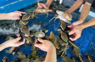 [🆕🇻🇳] Buffet ĐÀ LẠT Lẩu – Nướng Hải Sản 179 Chi Nhánh Quận 2 🍔 Top1Food  🍜 Đầu tuần #UP_MOOD cùng Buffet Đà Lạt chill chillGiá vé #189k, đi trên 2ng là quán tặng lẩu ăn kèm luôn nhen khách iu
Đi trên #6_người là quán tặng ngay  , shares-0✔️ , likes-4❤️️ , date-2024-12-03 22:00:20🇻🇳🇻🇳🇻🇳📰🆕