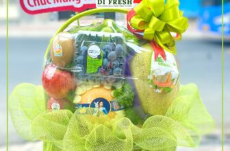 [🆕🇻🇳] Di Fresh Fruits – Cửa hàng trái cây nhập khẩu tươi sạch 🍔 Top1Food  🍜 GIỎ TRÁI ĐẦY ẮP 2  MẶT TỪ #1000K – MÓN QUÀ SỨC KHOẺ Ý NGHĨAIn thiệp miễn phí
Trái cây chất lượng theo mùa, nhập mới hàng ngày
Xuất VAT cho doanh nghiệp,  , shares-0✔️ , likes-3❤️️ , date-2024-12-02 19:32:42🇻🇳🇻🇳🇻🇳📰🆕