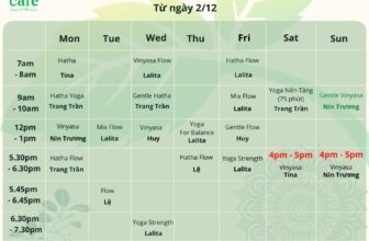 [???] Mint Care HCM  ? Top1Yoga ??‍♀️  , shares-0✔️ , likes-2❤️️ , date-2024-12-02 02:21:08????????