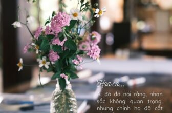 [???] Connect & Inspire Yoga ? Top1Yoga ??‍♀️ Hoa cỏ…
Trong một rừng cỏ dại, ai rồi cũng sẽ chọn những bông hoa cỏ tươi tắn.Ad vẫn tin rằng vẻ đẹp bên trong là một kho báu xứng đáng cho chúng ta  , shares-0✔️ , likes-5❤️️ , date-2024-12-09 02:00:13????????