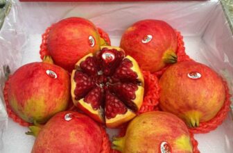 [🆕🇻🇳] Khả Hân Fresh Fruit – Sầu Riêng 6 Hữu 🍔 Top1Food  🍜 LỰU THÁI RUBIBI về tiếp lô mới – vỏ đỏ đẹp tươi rói , mọng nước , vị dịu ngọt
lựu thái rubibi là loại lựu luôn được các chị em ưu tiên lựa chọn , nước lựu  , shares-0✔️ , likes-0❤️️ , date-2024-12-01 21:25:00🇻🇳🇻🇳🇻🇳📰🆕