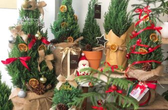 [🆕🇻🇳] Hộp giấy đựng thực phẩm, Cốc Giấy, Bát Giấy, Hộp đựng bánh sinh nhật  🎨 Top1Designs ✨  Gợi ý mẫu mica lên set yến !
Cận kề Noel , lên set quà yến đầy bổ dưỡng , vùa đảm bảo sức khỏe , vừa tinh tế tặng người thân yêu
Mica 6 ô 26x18x10cm
Mica , shares-0✔️ , likes-2❤️️ , date-2024-12-03 21:14:50🇻🇳🇻🇳🇻🇳📰🆕