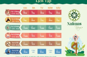 [🆕🇻🇳] Nalmas Yoga – Phòng tập yoga  🧘 Top1Yoga 🤸🏻‍♀️ Lịch tập tháng 12 tại Nalmas Yoga
Nalmas Yoga có các ca tập như sau:
– Ca 1: 07h00 – 08h00 (Sáng Thứ 2 đến Thứ 6)
– Ca 2: 09h30 – 10h30 (Sáng Thứ 2 đến Th , shares-1✔️ , likes-5❤️️ , date-2024-12-01 23:49:11🇻🇳🇻🇳🇻🇳📰🆕