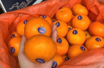 [🆕🇻🇳] Hoa Quả 4Mùa – Cửa hàng rau quả 🍔 Top1Food  🍜 #Traicay nhà e hôm nay sẵn nhiều mã cho cả nhà ạ
Nho mẫu đơn VIP #179k/hộp
Mận an phước cuối mùa set 3kg #159k
Táo tàu thùng giấy #189k/ xách
Lựu ruột đỏ  , shares-0✔️ , likes-0❤️️ , date-2024-12-03 22:15:04🇻🇳🇻🇳🇻🇳📰🆕