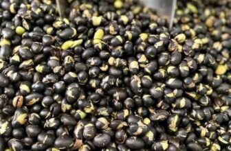 [🆕🇻🇳] LÒ MỨT DỪA – Mứt dừa non 🍔 Top1Food  🍜 ĐỖ ĐEN XANH LÒNG SẤY GIÒN NGUYÊN VỊGiâ lẻ 75k/ 500gSản phẩm thực dưỡng, thuần chay, vô cùng tốt cho sức khoẻĐậu đen sấy không chất bảo quản, an toàn , shares-0✔️ , likes-2❤️️ , date-2024-12-05 17:48:11🇻🇳🇻🇳🇻🇳📰🆕