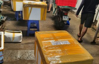 [🆕🇻🇳] Tôm Hùm Việt – Chuyên cung cấp sỉ tôm hùm cho các vựa, nhà hàng khách sạn 🍔 Top1Food  🍜 Hoàng thành xuất sắc nhiệm vụ đóng hàng cho sỉ đây ạ
Nguồn hàng ổn định mỗi ngày tại kho HCM
Nhận hàng tiệc số lượng đầu tấn
Màu đẹp khoẻ re. Bao sống tận  , shares-0✔️ , likes-3❤️️ , date-2024-12-07 05:33:19🇻🇳🇻🇳🇻🇳📰🆕