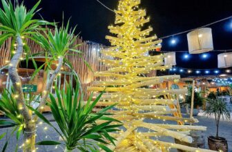 [🆕🇻🇳] Lá Cọ Beach Flamingo – Nhà Hàng Hải Sản Quảng Bình 🍔 Top1Food  🍜  #THÁNG_12  #SIÊU_ƯU_ĐÃI #SINH_NHẬT #SUM_HỌP #YEAR_END_PARTY #SET_TỪ_180K 𝐓𝐇𝐀𝐈 𝐅𝐎𝐎𝐃 𝐂𝐔𝐈𝐒𝐈𝐍𝐄   𝐕𝐈𝐄𝐓 𝐍𝐀𝐌 𝐅𝐎𝐎𝐃 𝐂𝐔𝐈𝐒𝐈𝐍𝐄Năm 2024 là một cuộc hành trình đầy c , shares-0✔️ , likes-30❤️️ , date-2024-12-04 06:41:10🇻🇳🇻🇳🇻🇳📰🆕