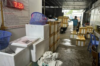 [🆕🇻🇳] Tôm Hùm Việt – Chuyên cung cấp sỉ tôm hùm cho các vựa, nhà hàng khách sạn 🍔 Top1Food  🍜 𝐌𝐮𝐚 𝐓𝐨̂𝐦 𝐡𝐮̀𝐦 𝐭𝐡𝐚̉ 𝐠𝐚 – 𝐤𝐡𝐨̂𝐧𝐠 𝐥𝐨 𝐯𝐞̂̀ 𝐠𝐢𝐚́
Chuyên cc  sll, sẳn kho hằng ngày
Hàng nhập tại bè không qua trung gian
Hàng đủ các size, đủ giá
Nhận ship toà , shares-0✔️ , likes-4❤️️ , date-2024-12-02 18:31:37🇻🇳🇻🇳🇻🇳📰🆕