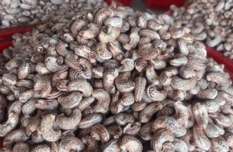 [🆕🇻🇳] Hoa Quả 4Mùa – Cửa hàng rau quả 🍔 Top1Food  🍜  , shares-0✔️ , likes-0❤️️ , date-2024-12-04 17:10:59🇻🇳🇻🇳🇻🇳📰🆕