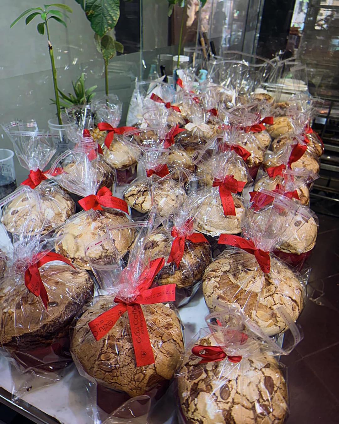 [☕️🇻🇳] GẤU Coffee – Bakery 🥤 Top1Coffee ☕️ Panettone is on the menu !Christmas With GAU …!
#gaucoffeeandbakery #professionalbakers
#coffeeroastery #artisanbaker #baris , shares-0✔️ , likes-54❤️️ , date-2024-12-05 20:00:29🇻🇳🇻🇳🇻🇳📰🆕
