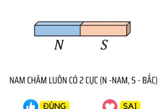 [🆕🇻🇳] Mclass – Lớp Học Livestream 📚 Top1Learn 📕 Đáp án là gì đây các em nhỉ ??
Sai câu này là mất gốc lý luôn rồi đấy
, shares-0✔️ , likes-84❤️️ , date-2024-12-05 23:16:45🇻🇳🇻🇳🇻🇳📰🆕