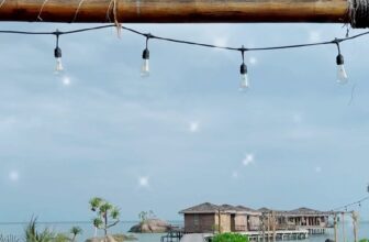 [🆕🇻🇳] Yoga Quỳnh Phạm – Chia sẻ kiến thức, kinh nghiệm luyện tập về yoga 🧘 Top1Yoga 🧘 Video liên quan
, shares-0✔️ , likes-141❤️️ , date-2024-12-12 22:54:32🇻🇳🇻🇳🇻🇳📰🆕