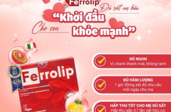 [🆕🇻🇳] Răng sữa 33 Hàng Tiện Nam Định – Siêu thị mẹ và bé 🧑‍🧒❤️️👶⭐️  , shares-0✔️ , likes-0❤️️ , date-2024-12-06 16:12:26🇻🇳🇻🇳🇻🇳📰🆕