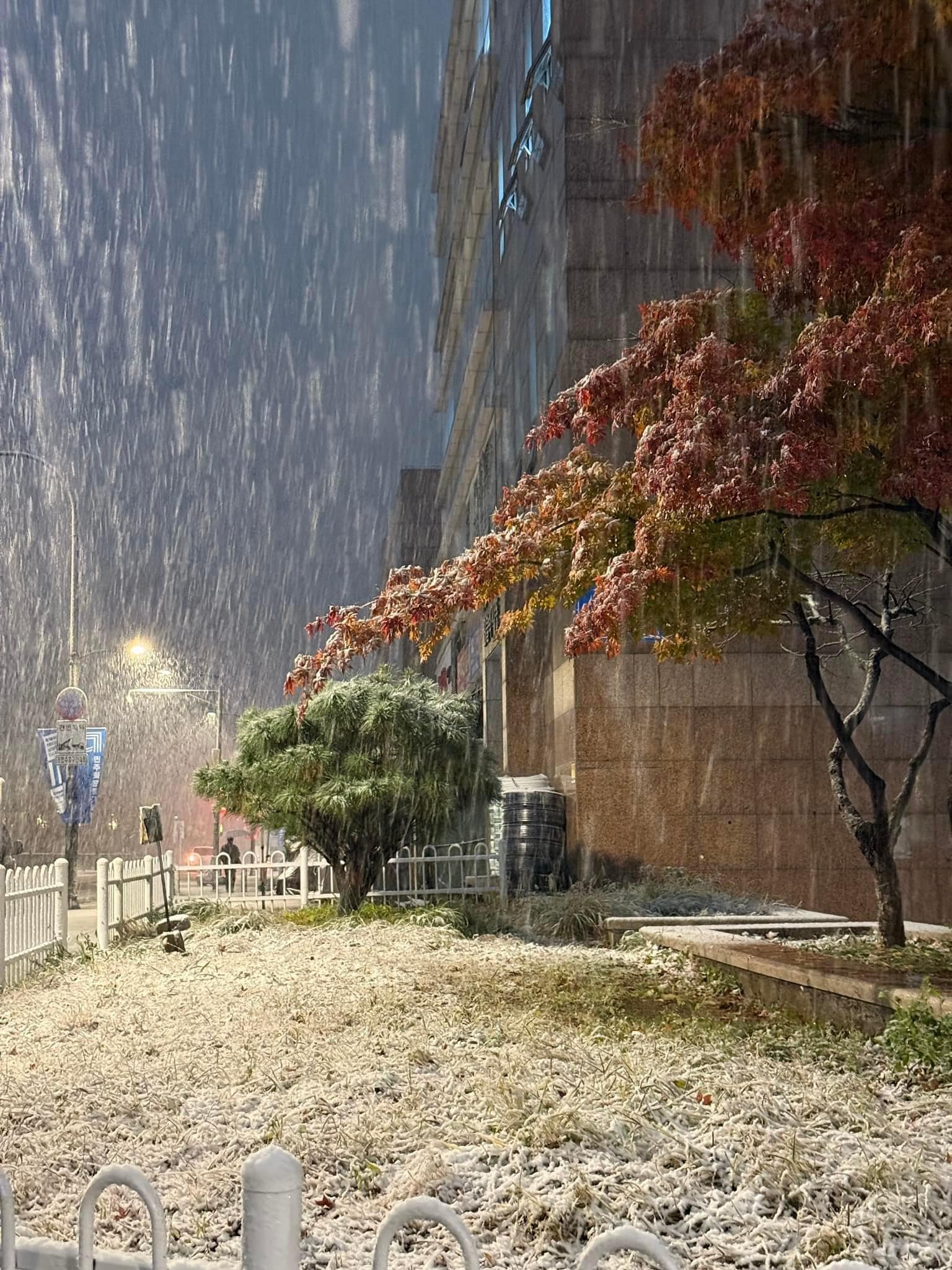 [???] Ha Le Nguyen – Authentic ? Top1Fashion ?  Kỉ niệm seoul 2024 . Đêm tuyết vẫn miệt mài đi làm#TỐI #NAY #8h e bung lụa tiếp nhiều mã xuất sắc ạ  hôm nay buổi cuối LIVE TẠI HÀN rùi na . Ce cần j tr , shares-0✔️ , likes-67❤️️ , date-2024-12-05 22:12:16????????