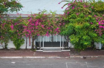 [🆕🇻🇳] Lẩu Tôm 5 Ri Chi Nhánh Vũng Tàu 🍔 Top1Food  🍜 [BẢN TIN 5RI] CẬP NHẬT TÌNH HÌNH CỔNG HOA GIẤY MẠC THANH ĐẠMHội yêu hoa làm sao bỏ qua được tin nóng hổi này phải không nào? Cả góc phố Mạc Thanh Đạm đan , shares-1✔️ , likes-6❤️️ , date-2024-12-06 17:30:25🇻🇳🇻🇳🇻🇳📰🆕