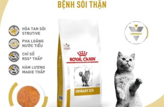 [🆕🇻🇳] FamiPet – Siêu Thị Cho Thú Cưng 🐶🦜 Top1Pets 🐱🐠 Thức Ăn Khô Cho Mèo Royal Canin Trị Sỏi Thận
Tên sản phẩm: Thức Ăn Khô Cho Mèo Trị Sỏi Thận – Royal Canin Veterinary Diet Urinary S/O Feline
Khối lượng: 1, , shares-0✔️ , likes-3❤️️ , date-2024-12-04 21:37:56🐶🐱🇻🇳🇻🇳🇻🇳📰🆕