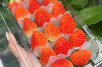 [🆕🇻🇳] F5 Fruit Shop Hồ Chí Minh-hệ thống bán lẻ Trái cây Nhập khẩu cao cấp 🍔 Top1Food  🍜  𝐃𝐀̂𝐔 𝐇𝐀̀𝐍- 𝐃𝐎̀𝐍𝐆 𝐂𝐀𝐎 𝐂𝐀̂́𝐏 𝐌𝐄̂̀𝐌 𝐓𝐇𝐎̛𝐌 𝐕𝐀̀ 𝐍𝐆𝐎̣𝐓 𝐓𝐇𝐀𝐍𝐇
– Ăn là mê, vài trái bị lát tý thôi ạ
– Trái to, căng mọng
– Mềm, đậm vị đặc trưng, ngọt thanh
2 , shares-0✔️ , likes-1❤️️ , date-2024-12-07 03:51:41🇻🇳🇻🇳🇻🇳📰🆕