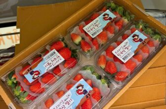 [🆕🇻🇳] Chio shop – Cửa hàng rau quả 🍔 Top1Food  🍜 Em bán lấy tương tác duy nhất 1 ngày hôm nay nha (6.12)Dâu hộp nhựa, giống này chung giống với Joyfarm nên rất ngọt, không chua nha1.000k/thùng 4 hộp, shares-0✔️ , likes-0❤️️ , date-2024-12-06 17:07:13🇻🇳🇻🇳🇻🇳📰🆕