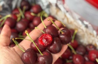 [🆕🇻🇳] Hoa Quả 4Mùa – Cửa hàng rau quả 🍔 Top1Food  🍜  CHERRY ÚC THE MONTAGUE TREE S26-28+#409k/ kg hàng  ( 500g giá 209k)VÀO MÙA CHUẨN RỒI NÊN GIÁ THÀNH HẠ XUỐNG SÁT ĐÁY Ạ – CUỐNG TƯƠI XANH – Độ GIÒ , shares-0✔️ , likes-0❤️️ , date-2024-12-04 16:37:55🇻🇳🇻🇳🇻🇳📰🆕