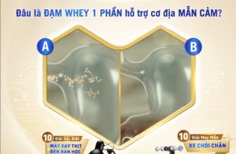 [🆕🇻🇳] Lazada là trang mua sắm trực tuyến uy tín hàng đầu tại Việt Nam ♥️️ Top1Index 📚   , shares-0✔️ , likes-395❤️️ , date-2024-12-20 17:00:10🇻🇳🇻🇳🇻🇳📰🆕