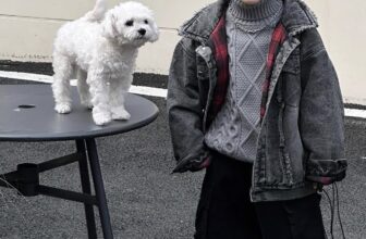 [🆕🇻🇳]  Voi Kun – Thời trang trẻ em có sẵn – Hàng Quảng Châu 🧑‍🧒❤️️👶⭐️ 𝐀̂́𝐦 𝐚́𝐩 𝐯𝐚̀ 𝐜𝐚́ 𝐭𝐢́𝐧𝐡 ! 𝐊𝐡𝐨̂𝐧𝐠 𝐭𝐡𝐞̂̉ 𝐛𝐨̉ 𝐪𝐮𝐚 𝐬𝐞𝐭 𝐬𝐢𝐞̂𝐮 đ𝐞̣𝐩 𝐧𝐚̀𝐲 𝐚̣ !
Size 90 – 150
Link shopee áo khoác:
Link shopee áo len:
Link shopee quần:
Li , shares-0✔️ , likes-3❤️️ , date-2024-12-07 16:50:57🇻🇳🇻🇳🇻🇳📰🆕