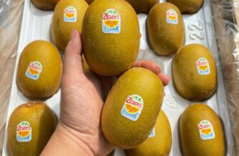 [🆕🇻🇳] Trái Cây Nhập Khẩu Đường Bay – Cửa hàng rau quả 🍔 Top1Food  🍜 Kiwi vàng NZL cuối vụ nha cả nhà. Trái cứng- vị ngọt ngon- hậu chua nhẹ xíu xiu- giàu vitamin #170k/kg khoản 7tráiThùng 27 trái- khoản 3,5kg #560k. Ngon  , shares-0✔️ , likes-0❤️️ , date-2024-12-07 19:58:33🇻🇳🇻🇳🇻🇳📰🆕