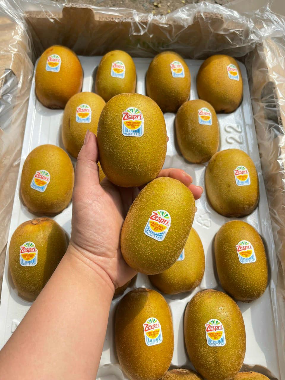 [🆕🇻🇳]  T&T Kids – Thay Ba Mẹ Mang Yêu Thương Đến Các Bé 🧑‍🧒❤️️👶⭐️ Em còn đúng 3 cái thôi nè
Size: 23-32kg thoải mái
Xả lỗ #100k đó ạ
, shares-0✔️ , likes-0❤️️ , date-2024-12-07 19:57:42🇻🇳🇻🇳🇻🇳📰🆕