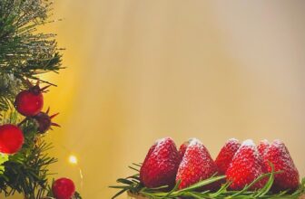 [🆕🇻🇳] The Bumble Cakes – cung cấp các loại bánh kem – bánh ngọt 🍔 Top1Food  🍜 Cảm thấy có chút ganh tị với các bạn có ngày sinh vào tháng đẹp nhất năm như này lun á..
Chúc mừng sinh nhật tháng 12
, shares-0✔️ , likes-0❤️️ , date-2024-12-07 01:44:37🇻🇳🇻🇳🇻🇳📰🆕