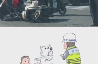 [🆕🇻🇳] Nu Pet – Yêu Thú Cưng 🐶🦜 Top1Pets 🐱🐠 Chuyện là như z đó chú#nupet
, shares-2✔️ , likes-45❤️️ , date-2024-12-07 22:18:23🐶🐱🇻🇳🇻🇳🇻🇳📰🆕