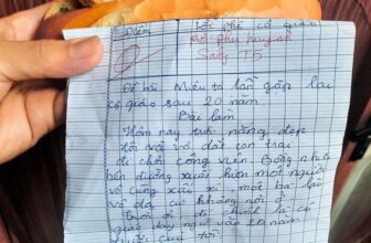 [🆕🇻🇳] 24h – Bệnh Viện Điện Thoại, Laptop 👨‍🔧 Top1Fix 🧰  Ăn bánh mì mà đọc được bài miêu tả thật nhân văn =)))
, shares-0✔️ , likes-28❤️️ , date-2024-12-08 00:00:34🇻🇳🇻🇳🇻🇳📰🆕