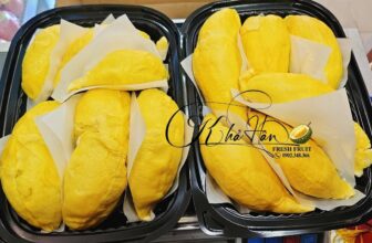 [🆕🇻🇳] Khả Hân Fresh Fruit – Sầu Riêng 6 Hữu 🍔 Top1Food  🍜 cuối tuần nhà Hân có các loại sầu riêng ngon như sau , e mời khách lên đơn ạ
Musang King , 6 Hữu , Thái , Ri6Lưu ý: Tất cả sản phẩm bên Khả Hân đều bao  , shares-0✔️ , likes-0❤️️ , date-2024-12-07 21:16:09🇻🇳🇻🇳🇻🇳📰🆕