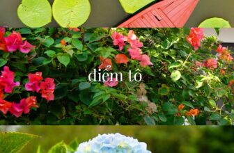 [🆕🇻🇳] Jotun Việt Nam – Nhà cung cấp hàng đầu về giải pháp sơn ♥️️ Top1Index 📚  Những “lát cắt” của tự nhiên trong bộ sưu tập màu sắc ngoại thất Kỳ Quan Diệu Kỳ hòa cùng hơi thở giao mùa sẽ phủ đầy ngôi nhà bạn sức sống tươi mới:– 2 , shares-0✔️ , likes-121❤️️ , date-2024-12-06 02:45:22🇻🇳🇻🇳🇻🇳📰🆕