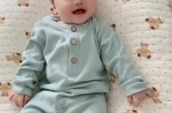 [🆕🇻🇳]  Jami Baby Store – Chuyên hàng body xuất dư trẻ em Carter, Geo, Old Navy chuẩn 100% 🧑‍🧒❤️️👶⭐️ Bodysleep màu sắc basic mà vẫn sang sịn mịn, bé trai hay gái đều mặc được  #Bodysleep  #jami
, shares-0✔️ , likes-5❤️️ , date-2024-12-12 16:22:26🇻🇳🇻🇳🇻🇳📰🆕