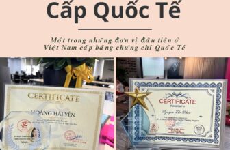[🆕🇻🇳] YOGA LUNA THÁI CENTER – Trung tâm giảng dạy Yoga hàng đầu về Yoga Bà Bầu, Yoga Trẻ Em 🧘 Top1Yoga 🤸🏻‍♀️  𝟱 𝑺𝒖̛̣ 𝑻𝒉𝒂̣̂𝒕 𝑩𝒂̣𝒏 𝑪𝒉𝒖̛𝒂 𝑩𝒊𝒆̂́𝒕 𝑽𝒆̂̀ 𝑯𝑶̣𝑪 𝑽𝑰𝑬̣̂𝑵 𝑸𝑼𝑶̂́𝑪 𝑻𝑬̂́ 𝒀𝑶𝑮𝑨 𝑳𝑼𝑵𝑨 𝑻𝑯𝑨́𝑰1. 𝑴𝒐̣̂𝒕 𝒕𝒓𝒐𝒏𝒈 𝒏𝒉𝒖̛̃𝒏𝒈 đ𝒐̛𝒏 𝒗𝒊̣ đ𝒂̂̀𝒖 𝒕𝒊𝒆̂𝒏 𝒐̛̉ 𝑽𝒊𝒆̣̂𝒕 𝑵𝒂𝒎 𝒄𝒂̂́𝒑 𝒃𝒂̆̀𝒏𝒈 𝒄𝒉 , shares-0✔️ , likes-0❤️️ , date-2024-12-10 18:30:03🇻🇳🇻🇳🇻🇳📰🆕