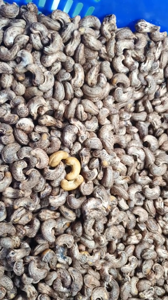 [🆕🇻🇳] Kít Baby – Chuyên Quần Áo Thiết Kế Cho Bé – đồ tiệc + quần áo hot trend cho bé gái & trai 🧑‍🧒❤️️👶⭐️ anh trai SAY HI
13-23kg
, shares-1✔️ , likes-7❤️️ , date-2024-12-11 21:40:04🇻🇳🇻🇳🇻🇳📰🆕