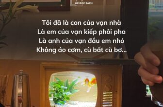 [🆕🇻🇳] Mê Đọc Sách – Trang sách mở ra, trời xa xích lại  📚 Top1Book 📖 Từ ấy trong tôi bừng nắng hạ
Mặt trời chân lý chói qua tim
Hồn tôi là một vườn hoa lá
Rất đậm hương và rộn tiếng chim…Tôi buộc lòng tôi với mọi người
Đ , shares-0✔️ , likes-8❤️️ , date-2024-12-09 16:29:38🇻🇳🇻🇳🇻🇳📰🆕📚