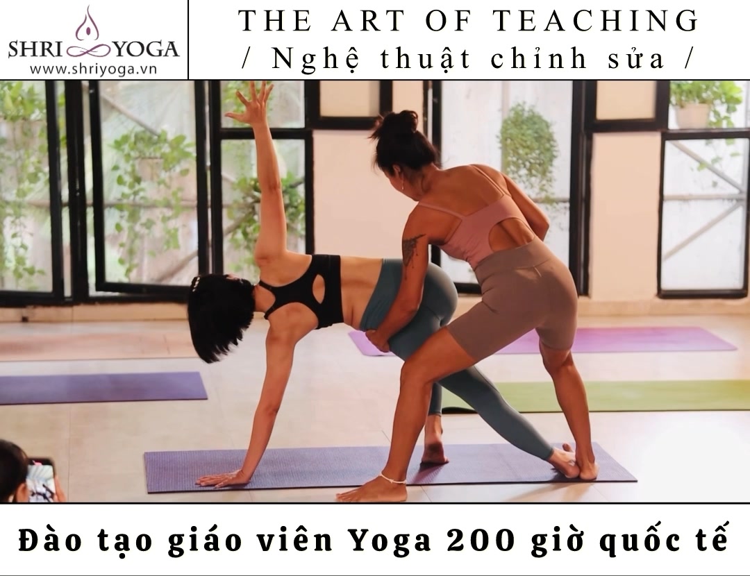[🆕🇻🇳] Shriyoga – SATCHITANANDA – THỰC TẠI – Ý THỨC – PHÚC LẠC 🧘 Top1Yoga 🧘  , shares-0✔️ , likes-36❤️️ , date-2024-12-09 03:05:41🇻🇳🇻🇳🇻🇳📰🆕