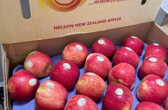 [🆕🇻🇳] Trái Cây Nhập Khẩu Đường Bay – Cửa hàng rau quả 🍔 Top1Food  🍜 Táo Ambrosia ngon lắm nha cả nhà. Trái chắc giòn rụm- ngọt đậm vị #120k/kg 5tráiThùng 90trái 17kg 1600k
…Đây là vị bên em ăn thử và miêu tả. Khuyến k , shares-0✔️ , likes-1❤️️ , date-2024-12-09 23:53:40🇻🇳🇻🇳🇻🇳📰🆕