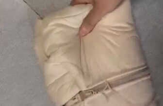 [🆕🇻🇳]  Thời Trang Hàn – Cho Bé Việt 🧑‍🧒❤️️👶⭐️ 𝐒𝐢𝐞̂𝐮 𝐏𝐡𝐚̂̉𝐦 –  mùa đông không lạnh
Phao siêu nhẹ trần bông có lót lông siêu cản gió hàng loại 1
giá 249k/1sp
Size : 3-15 kg
Kiểm Tra Hàng Trư , shares-0✔️ , likes-1❤️️ , date-2024-12-10 05:58:03🇻🇳🇻🇳🇻🇳📰🆕