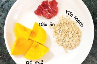 [🆕🇻🇳]  Quỳnh Boutique – Cửa hàng quần áo sơ sinh, trẻ em 🧑‍🧒❤️️👶⭐️  Thực đơn ăn dặm cho bé
Cre : st
Trần Thúy Quỳnh
, shares-14✔️ , likes-9❤️️ , date-2024-12-11 06:16:30🇻🇳🇻🇳🇻🇳📰🆕