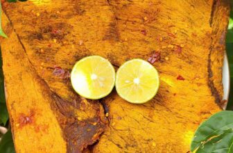 [🆕🇻🇳] Ba Thức Food chuyên cung cấp Sỉ & Lẻ các sản phẩm đặc sản ngon của vùng miền, đặc biệt là khô bò TN 🍔 Top1Food  🍜  , shares-1✔️ , likes-2❤️️ , date-2024-12-11 18:28:24🇻🇳🇻🇳🇻🇳📰🆕