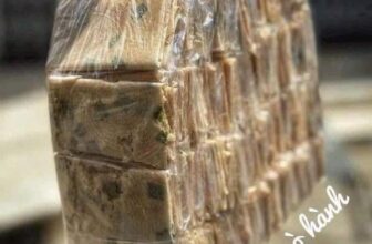 [🆕🇻🇳] LÒ MỨT DỪA – Mứt dừa non 🍔 Top1Food  🍜  BÁNH KẸP NGÒ HÀNH#65k/500gBánh kẹp ngò nướng tay truyền thống, bánh lò xưa quê e bột bánh rất xốp giòn, vị xưa thơm và kèm thêm ngò rí, hành lá  si , shares-0✔️ , likes-1❤️️ , date-2024-12-09 17:01:54🇻🇳🇻🇳🇻🇳📰🆕