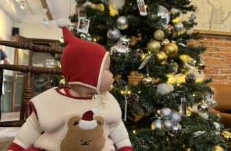 [☕️🇻🇳] All Day Coffee 🥤 Top1Coffee ☕️  The cutest Santa in town just stopped by All Day!
, shares-0✔️ , likes-7❤️️ , date-2024-12-10 23:34:25🇻🇳🇻🇳🇻🇳📰🆕