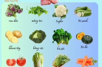 [🆕🇻🇳] Bếp của Mẹ 🍔 Top1Food  🍜 Khởi động Series Cho Bé Ăn Ngon cùng Bếp Của Mẹ – Cách kết hợp đạm và rau cho bé ăn dặm.
Trong quá trình tư vấn cho Bố Mẹ, Bếp nhận  , shares-0✔️ , likes-7❤️️ , date-2024-12-10 18:58:58🇻🇳🇻🇳🇻🇳📰🆕