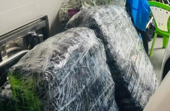 [🆕🇻🇳] Misa Baby – Chuyên sỉ & lẻ QATE 🧑‍🧒❤️️👶⭐️ Sắm tết thôi nàoooo
𝐓𝐢𝐤𝐭𝐨𝐤 : www.tiktok.com/@misacute0811
𝐒𝐡𝐨𝐩𝐩𝐞𝐞 : shopee.vn/misa_baby
, shares-0✔️ , likes-0❤️️ , date-2024-12-12 04:25:59🇻🇳🇻🇳🇻🇳📰🆕