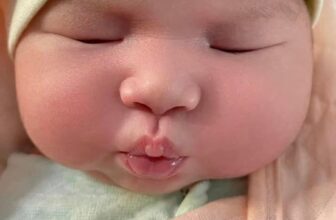 [🆕🇻🇳]  Home kids – Bộ lanh cho bé TPHCM 😎❤️️⭐️ MỘT SỐ SỰ THẬT VỀ EM BÉ SƠ SINH
– Trẻ sơ sinh là 1 tờ giấy trắng, chỉ có nhu cầu ăn, mút mát, ngủ, đái, ị, không có nhu cầu rung lắc, hát ru à ơi hay bế r , shares-0✔️ , likes-1❤️️ , date-2024-12-10 21:49:27🇻🇳🇻🇳🇻🇳📰🆕